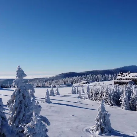 Отель Spindlerova Bouda 3*